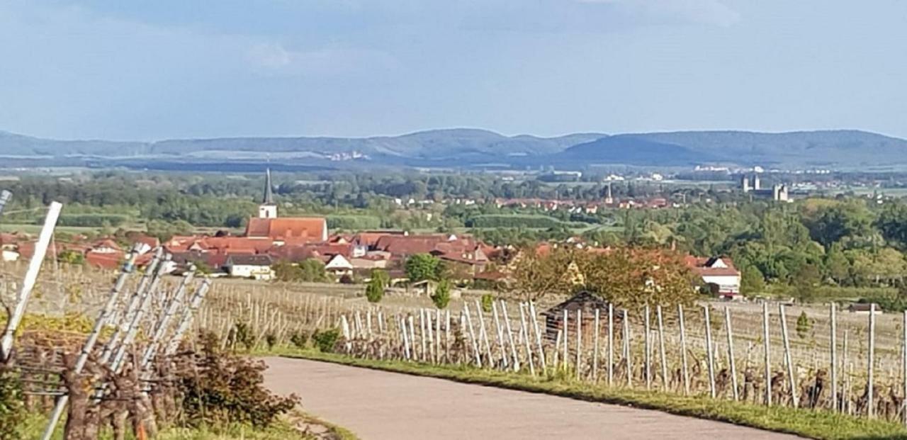 Ferienwohnung An Der Dorfmauer Sommerach Extérieur photo